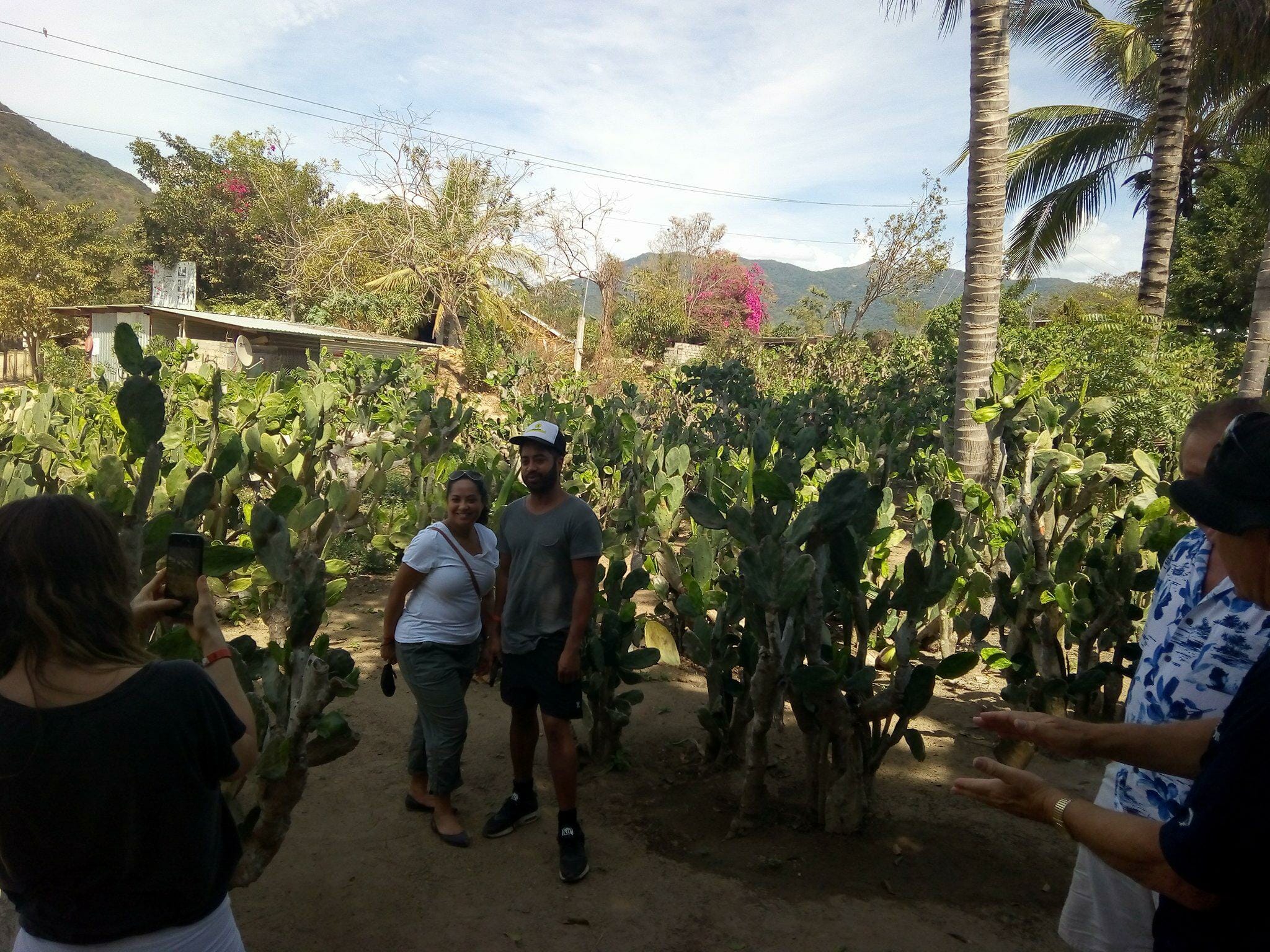 Large Huatulco Cactus Field