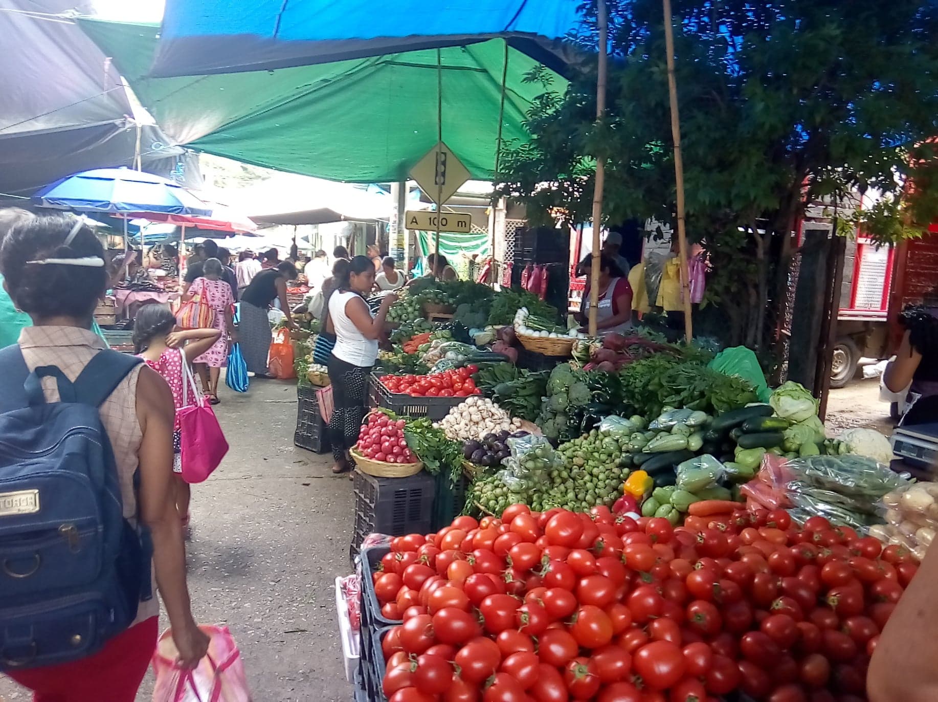 Pochutla Market Tour